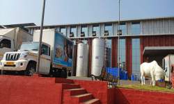 Industrial Visit to Washisti Dairy, Chiplun